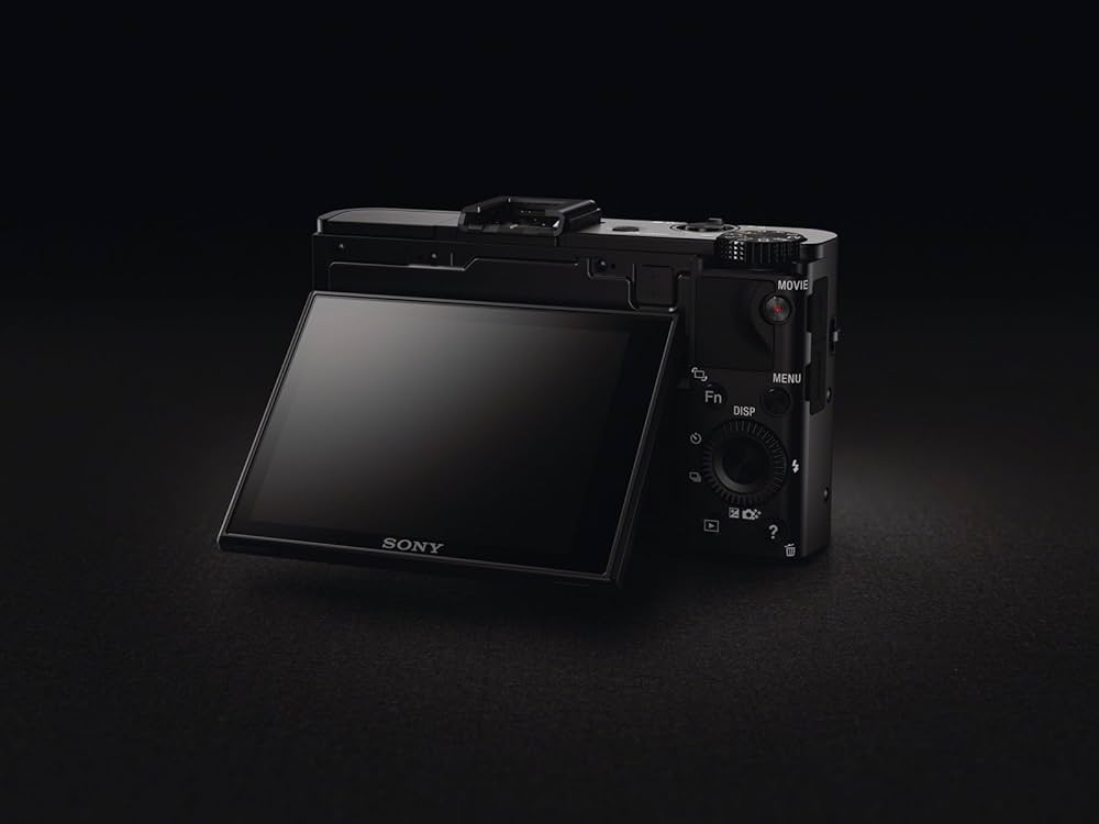 SONY ソニー Cyber-Shot RX100Ⅱ RX100II(DSC-RX100M2) | デジタルスチルカメラ Cyber-shot